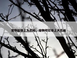 宠物能带上大巴吗，宠物可以带上大巴嘛