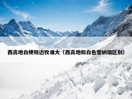 西高地白梗和边牧谁大（西高地和白色雪纳瑞区别）