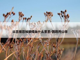 以怨报怨如狼嗜血什么意思-鹦鹉开口率