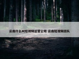 云南什么叫短视频运营公司 云南短视频团队