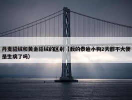 丹麦貂绒和黄金貂绒的区别（我的泰迪小狗2天都不大便是生病了吗）