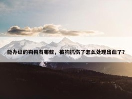 能办证的狗狗有哪些，被狗抓伤了怎么处理出血了？