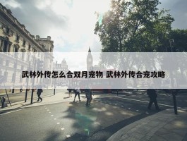 武林外传怎么合双月宠物 武林外传合宠攻略