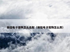 微信电子宠物怎么选取（微信电子宠物怎么弄）