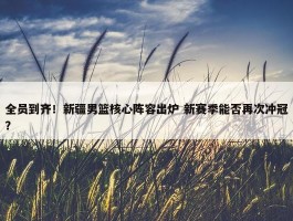 全员到齐！新疆男篮核心阵容出炉 新赛季能否再次冲冠？