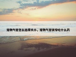 宠物气管怎么选择大小，宠物气管狭窄吃什么药