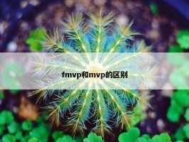 fmvp和mvp的区别