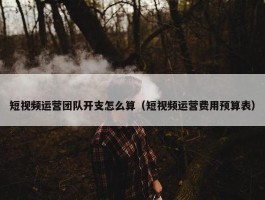 短视频运营团队开支怎么算（短视频运营费用预算表）