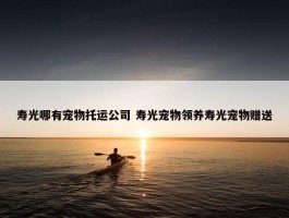 寿光哪有宠物托运公司 寿光宠物领养寿光宠物赠送