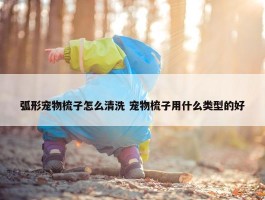 弧形宠物梳子怎么清洗 宠物梳子用什么类型的好