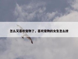 怎么又喜欢宠物了，喜欢宠物的女生怎么撩