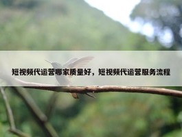 短视频代运营哪家质量好，短视频代运营服务流程