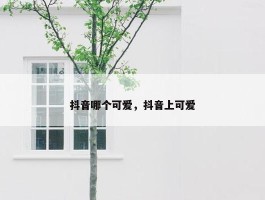 抖音哪个可爱，抖音上可爱