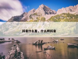 抖音什么畜，什么啊抖音