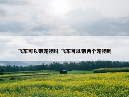 飞车可以带宠物吗 飞车可以带两个宠物吗