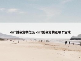 dnf剑帝宠物怎么 dnf剑帝宠物选哪个宝珠