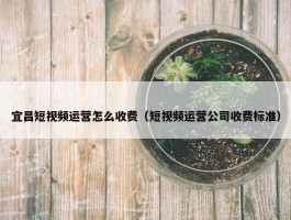 宜昌短视频运营怎么收费（短视频运营公司收费标准）