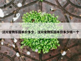 汉川宠物乐园单价多少，汉川宠物乐园单价多少钱一个