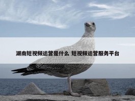 湖南短视频运营是什么 短视频运营服务平台