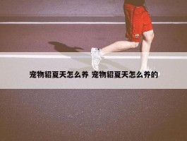 宠物貂夏天怎么养 宠物貂夏天怎么养的