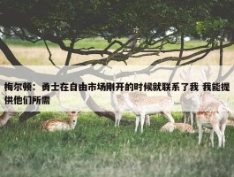 梅尔顿：勇士在自由市场刚开的时候就联系了我 我能提供他们所需