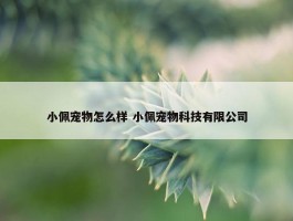 小佩宠物怎么样 小佩宠物科技有限公司