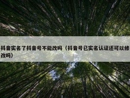 抖音实名了抖音号不能改吗（抖音号已实名认证还可以修改吗）