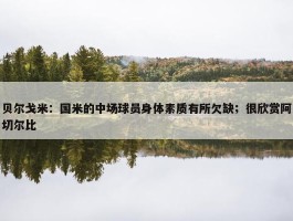 贝尔戈米：国米的中场球员身体素质有所欠缺；很欣赏阿切尔比