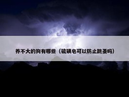 养不大的狗有哪些（硫磺皂可以防止跳蚤吗）