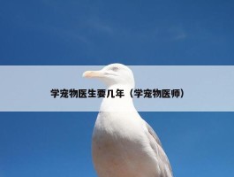 学宠物医生要几年（学宠物医师）