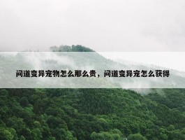 问道变异宠物怎么那么贵，问道变异宠怎么获得