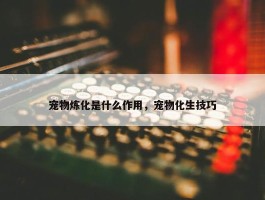 宠物炼化是什么作用，宠物化生技巧