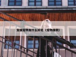 支援宠物有什么好处（宠物援救）