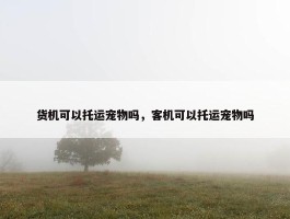 货机可以托运宠物吗，客机可以托运宠物吗