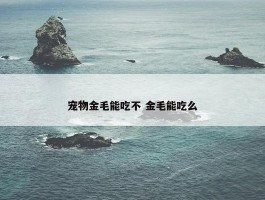 宠物金毛能吃不 金毛能吃么