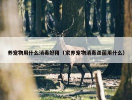 养宠物用什么消毒好用（家养宠物消毒杀菌用什么）