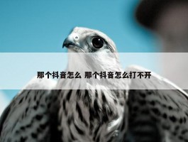 那个抖音怎么 那个抖音怎么打不开