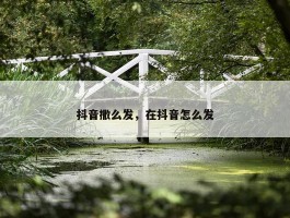 抖音撒么发，在抖音怎么发