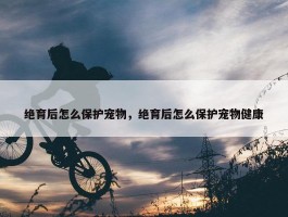 绝育后怎么保护宠物，绝育后怎么保护宠物健康