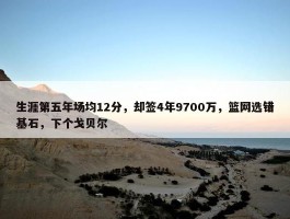 生涯第五年场均12分，却签4年9700万，篮网选错基石，下个戈贝尔