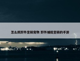 怎么抓野外坐骑宠物 野外捕捉坐骑的手游