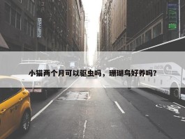 小猫两个月可以驱虫吗，珊瑚鸟好养吗？