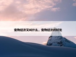 宠物经济又叫什么，宠物经济的好处