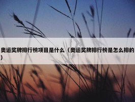 奥运奖牌排行榜项目是什么（奥运奖牌排行榜是怎么排的）