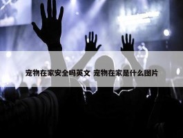 宠物在家安全吗英文 宠物在家是什么图片