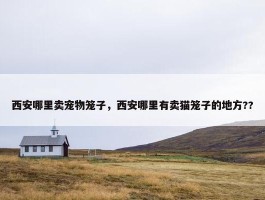 西安哪里卖宠物笼子，西安哪里有卖猫笼子的地方??