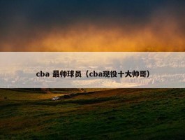 cba 最帅球员（cba现役十大帅哥）