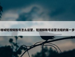 增城短视频账号怎么运营，短视频账号运营流程的第一步