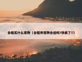 合租买什么宠物（合租养宠物合适吗?快疯了!!）