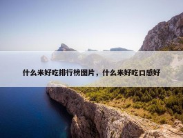 什么米好吃排行榜图片，什么米好吃口感好